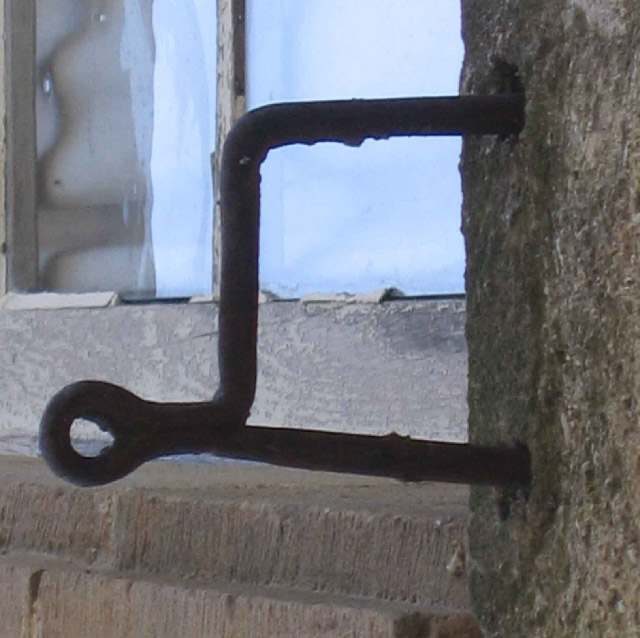 Hqm sauvage par Lionel Bascoulard