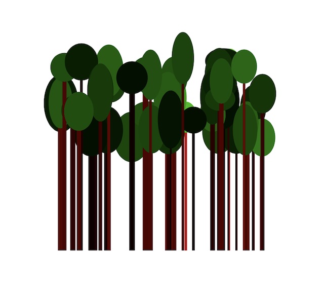 image of program animation